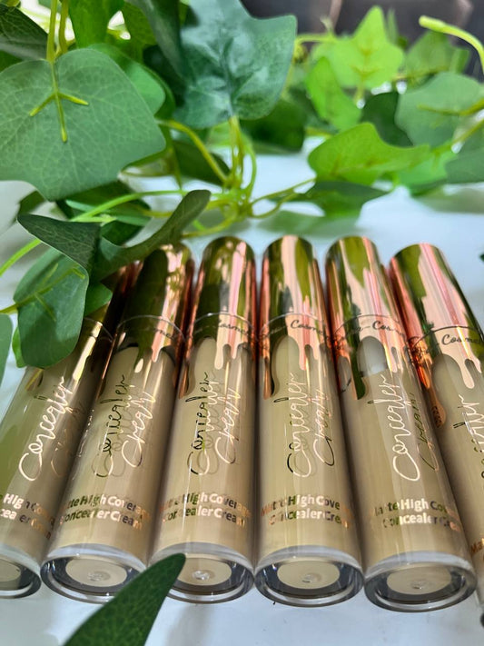 Sandra Cream High Coverage Concealer